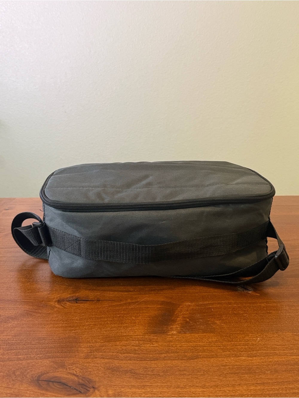 Philips Respironics Dream Station Carrying Travel Bag